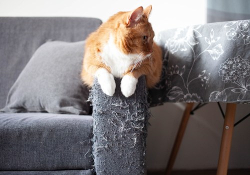 How can i keep my cat from scratching furniture?